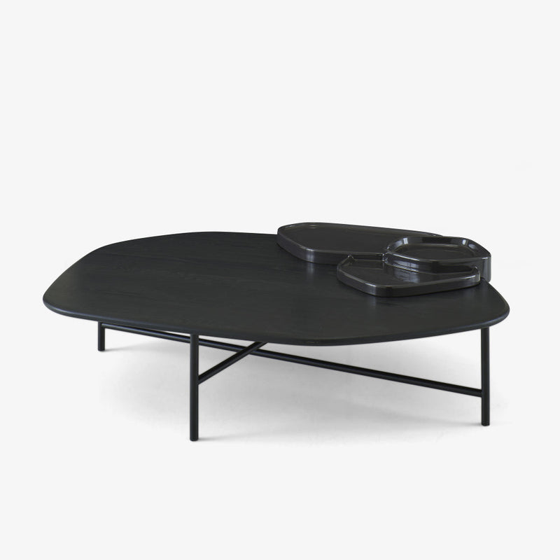 Lewa Low Table by Ligne Roset - Additional Image - 7
