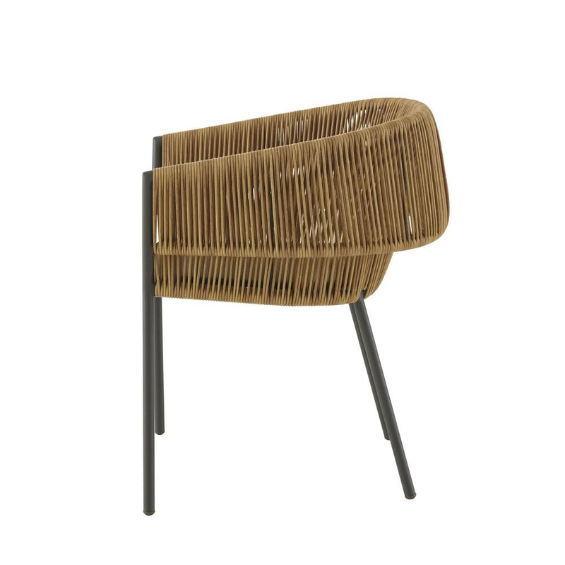Quick Ship Lapel Outdoor Dining Chair by Ligne Roset