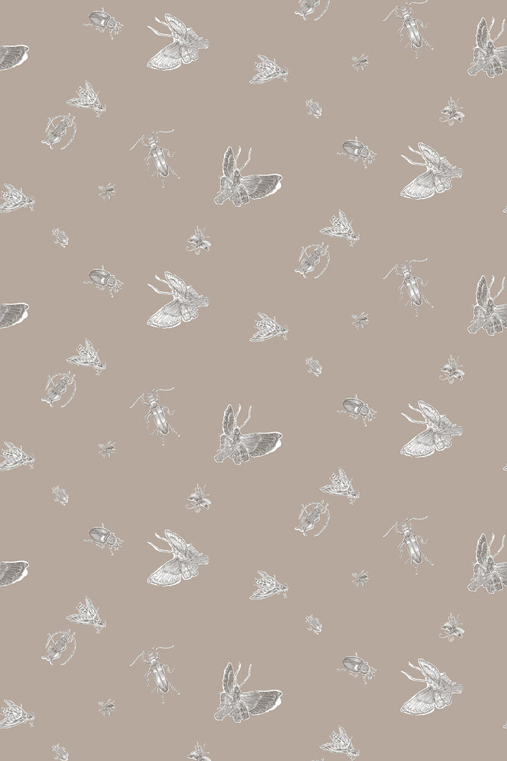 Insect Wallpaper by Timorous Beasties
