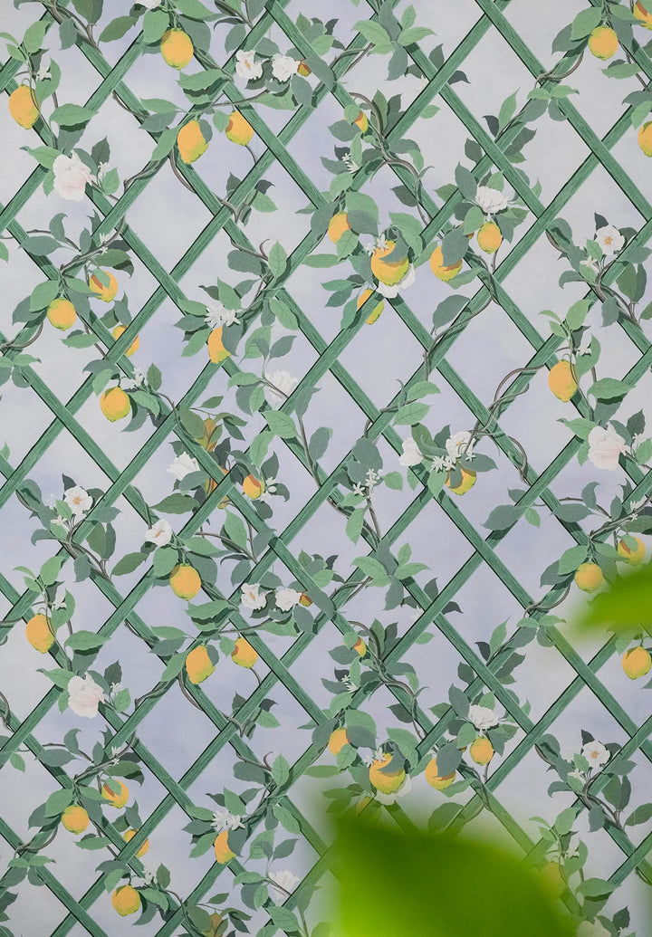 Treillis Panel Wallpaper by Isidore Leroy