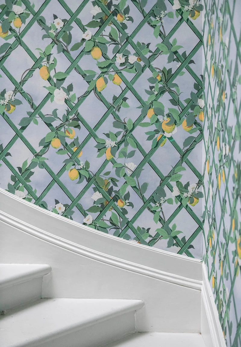 Treillis Panel Wallpaper by Isidore Leroy