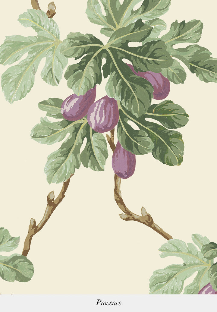 Figuier Wallpaper by Isidore Leroy
