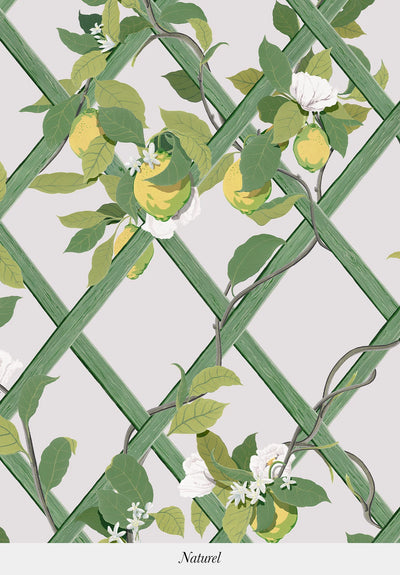 Treillis Panel Wallpaper by Isidore Leroy