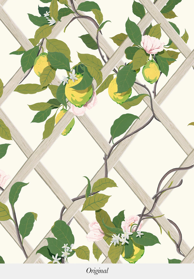 Treillis Panel Wallpaper by Isidore Leroy