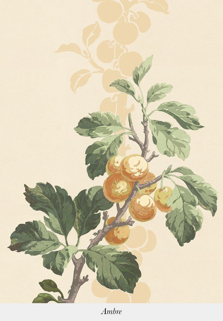 Prunus Wallpaper by Isidore Leroy