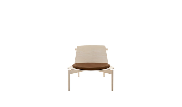 Eryt Armchair by B&B Italia