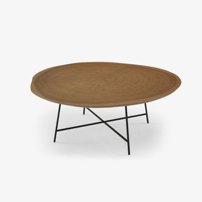 Alburni Low Table by Ligne Roset - Additional Image - 1