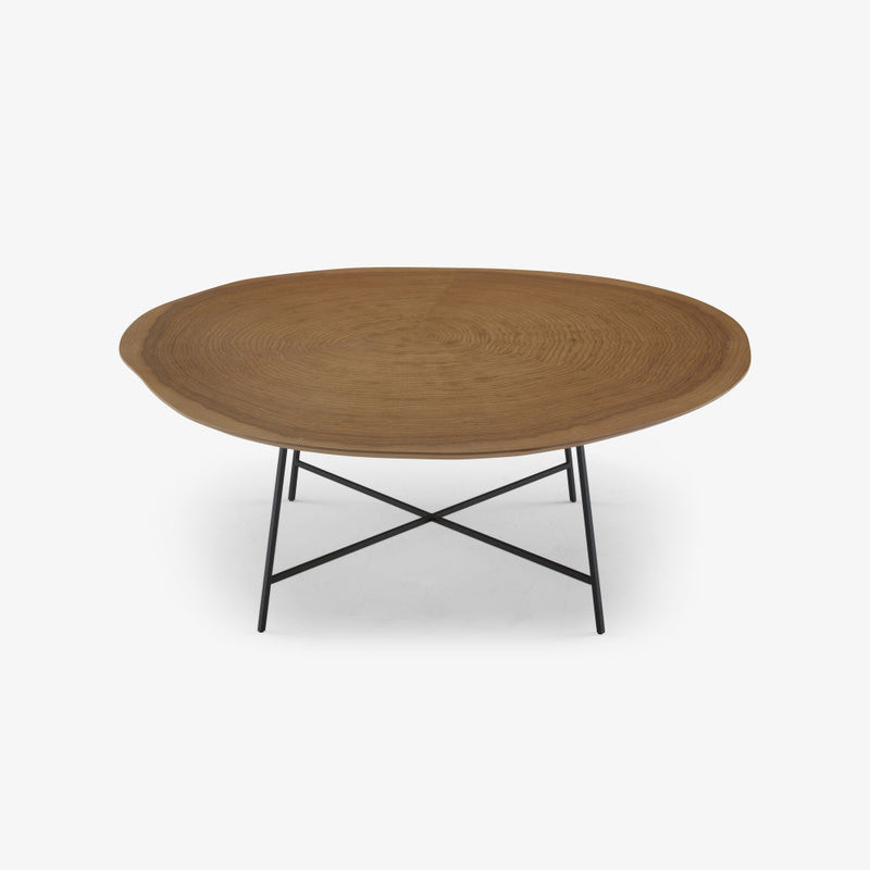 Alburni Low Table by Ligne Roset