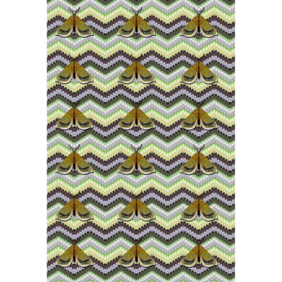 Bell Moth Fabric Wallpaper by Timorous Beasties