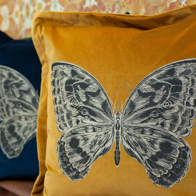 Butterfly Velvet Cushion by Timorous Beasties-10