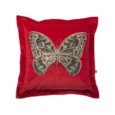 Butterfly Velvet Cushion by Timorous Beasties-2