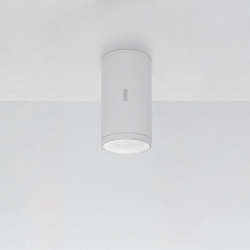 Calumet 13 Ceiling Lamp by Artemide 