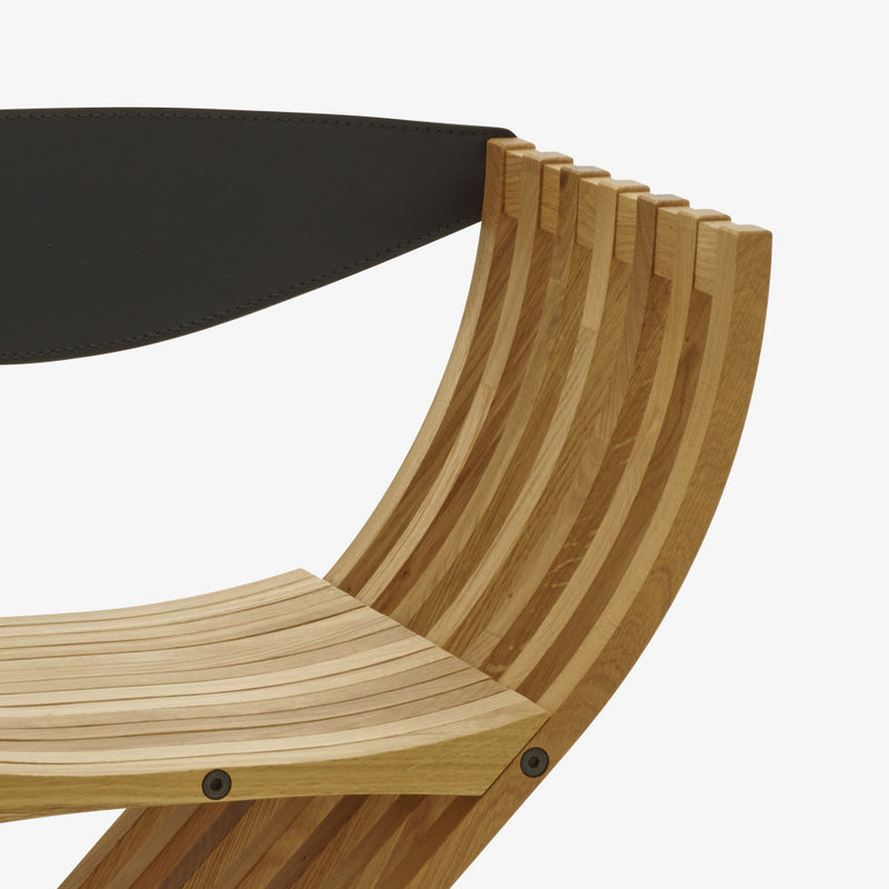 Curule Chair by Ligne Roset - Additional Image - 6