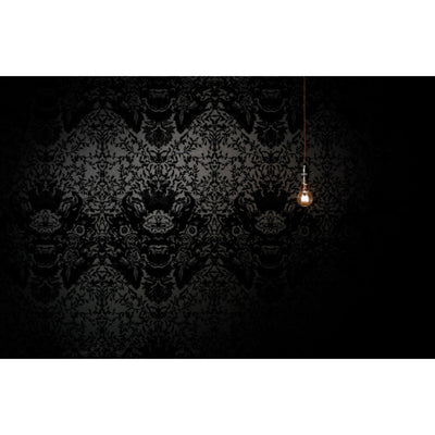 Devil Damask Flock Wallpaper by Timorous Beasties-2