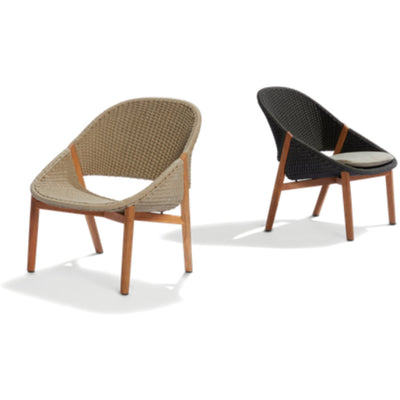 Elio Lounge Chair by Tribu 