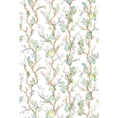 Fine Seaweed Fabric Wallpaper by Timorous Beasties