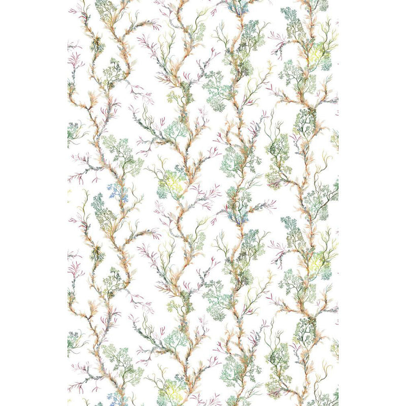 Fine Seaweed Fabric Wallpaper by Timorous Beasties