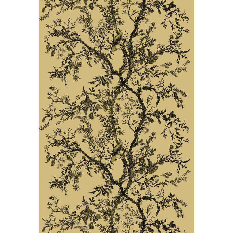 Golden Oriole Velvet Fabric Wallpaper by Timorous Beasties