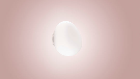 Gregg Wall/Ceiling Lamp by Foscarini