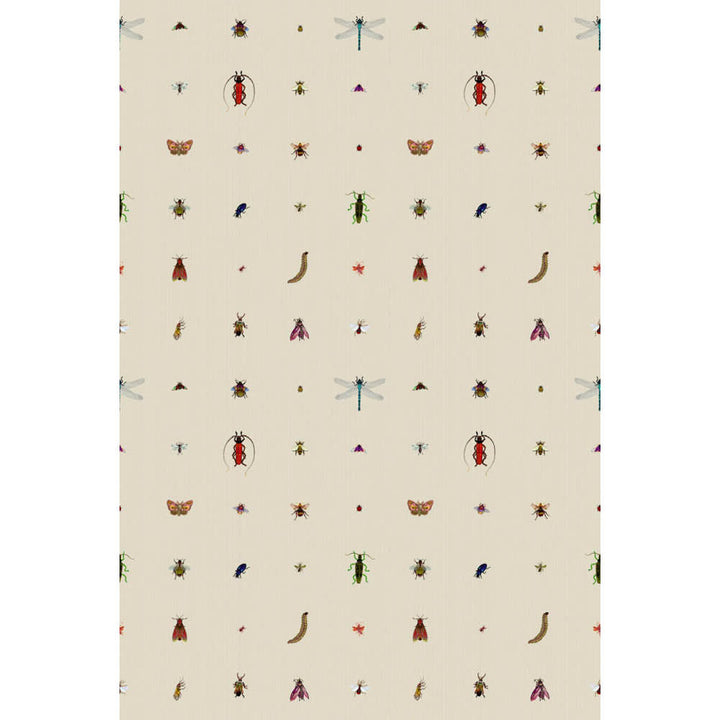 Insect Grid Wallpaper by Timorous Beasties