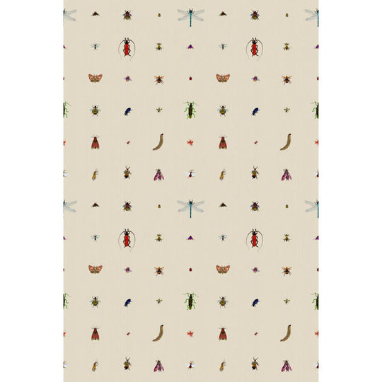 Insect Grid Wallpaper by Timorous Beasties