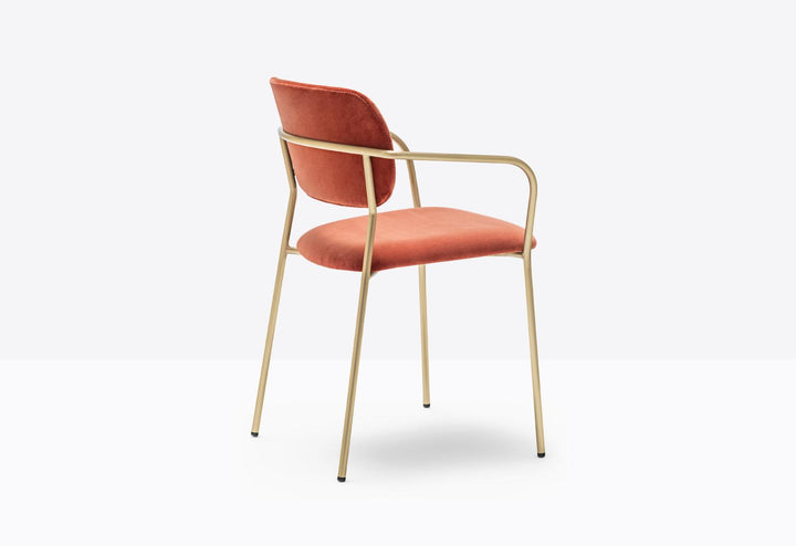 Jazz 3704 Dining Armchair by Pedrali