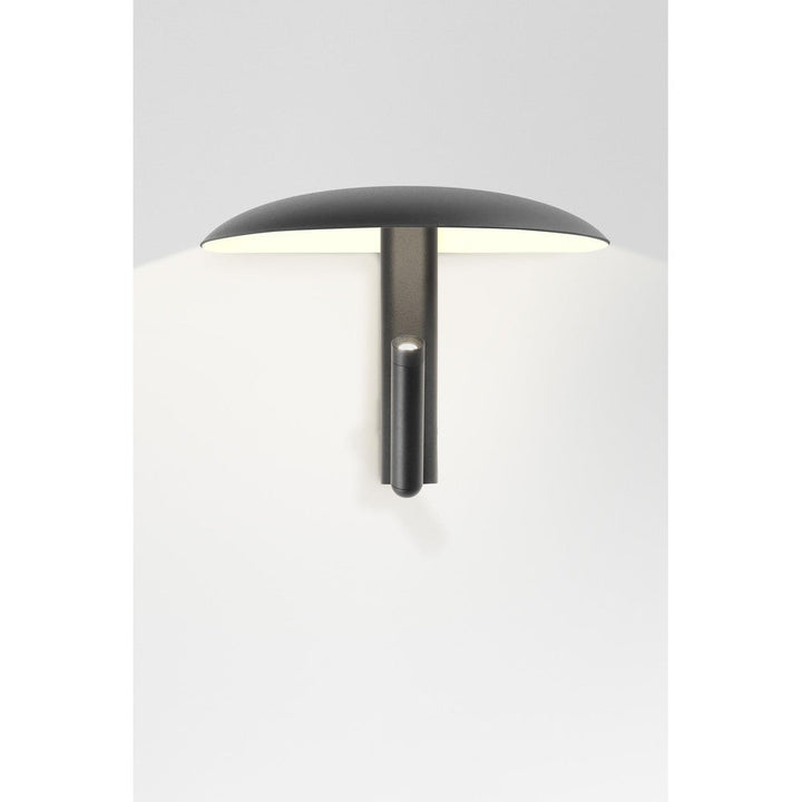 Konoha Indoor Wall Lamp by Marset
