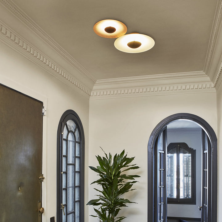 Ginger Outdoor Wall Lamp by Marset