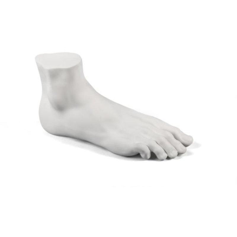 Memorabilia Mvsevm Foot by Seletti - Additional Image - 2