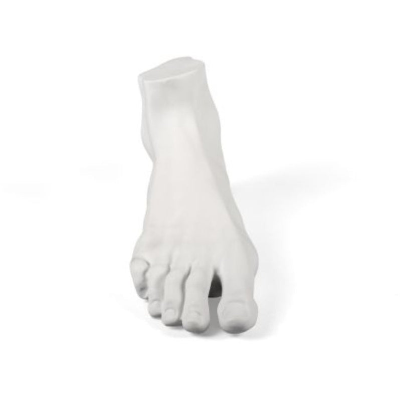 Memorabilia Mvsevm Foot by Seletti - Additional Image - 4