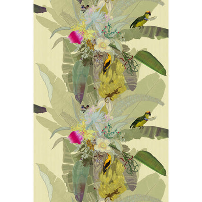 Merian Palm Superwide Wallpaper by Timorous Beasties