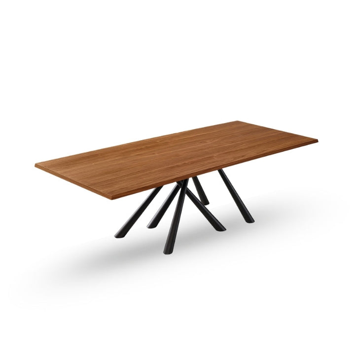 Forest Dining Table by MIDJ