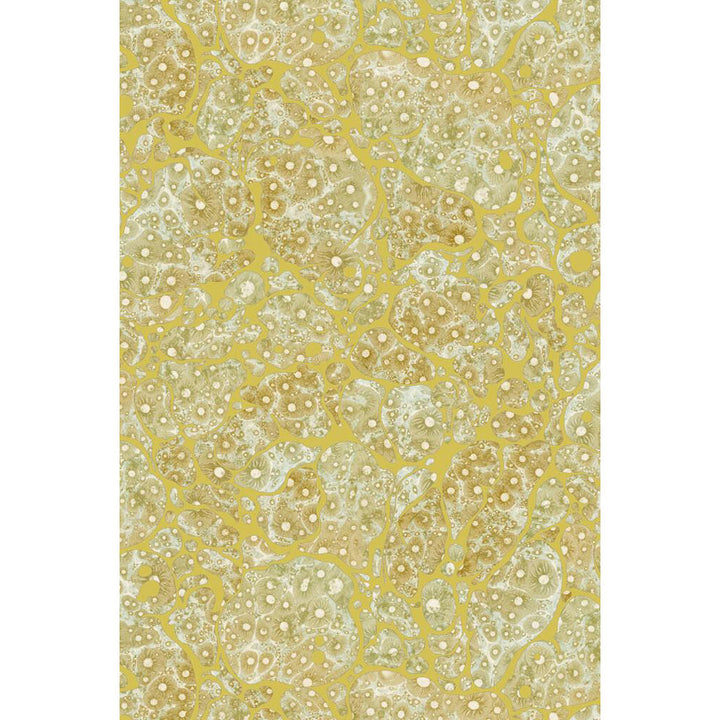 Moonrock Cork Wallpaper by Timorous Beasties
