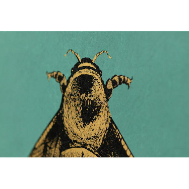 Napoleon Bee Wallpaper by Timorous Beasties-20