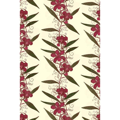 Oriental Orchid Wallpaper by Timorous Beasties