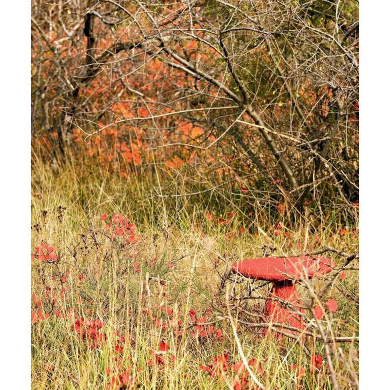 Shitake Pouf by Moroso - Additional image - 10