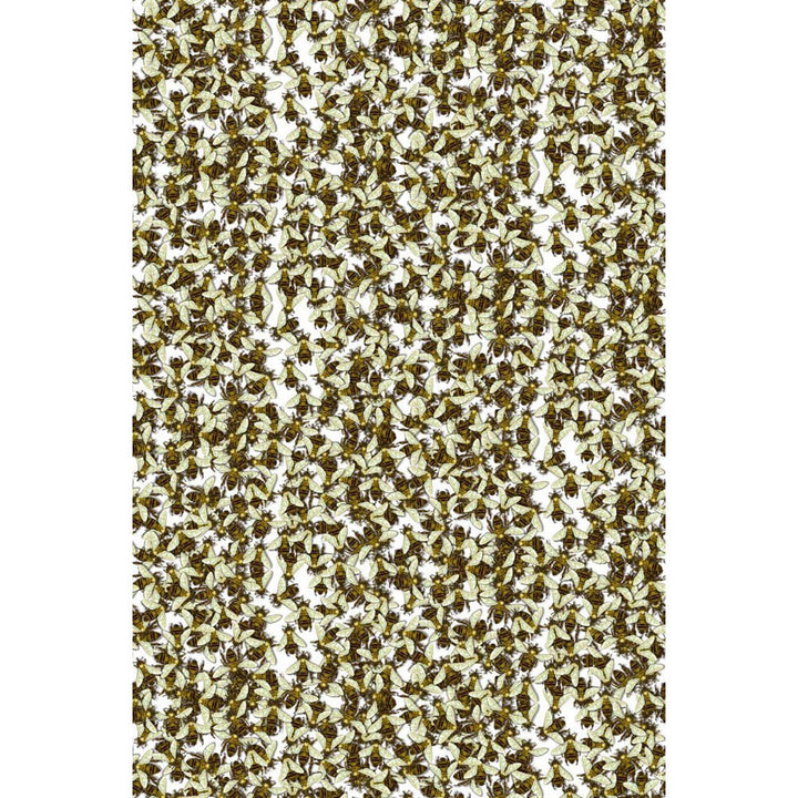 Wild Honey Bee All Over Wallpaper by Timorous Beasties