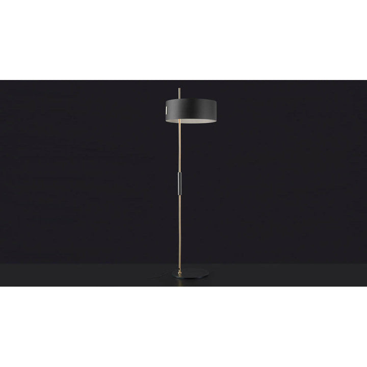 1953 Floor Lamp by Oluce