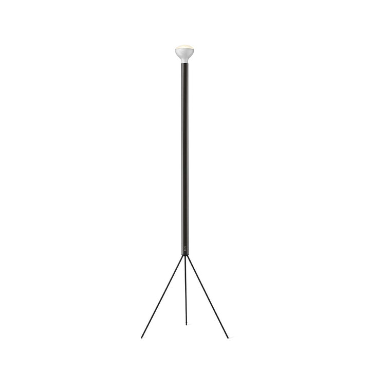 Luminator Floor Lamp by Flos