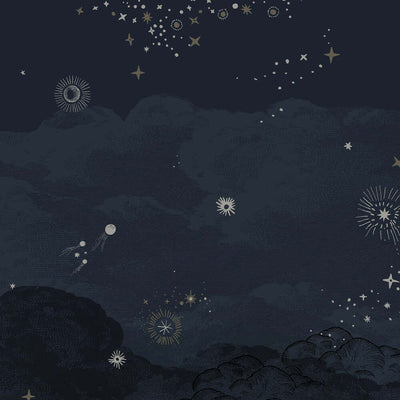 Cosmos Nuit Wallpaper by Isidore Leroy - Additional Image - 1