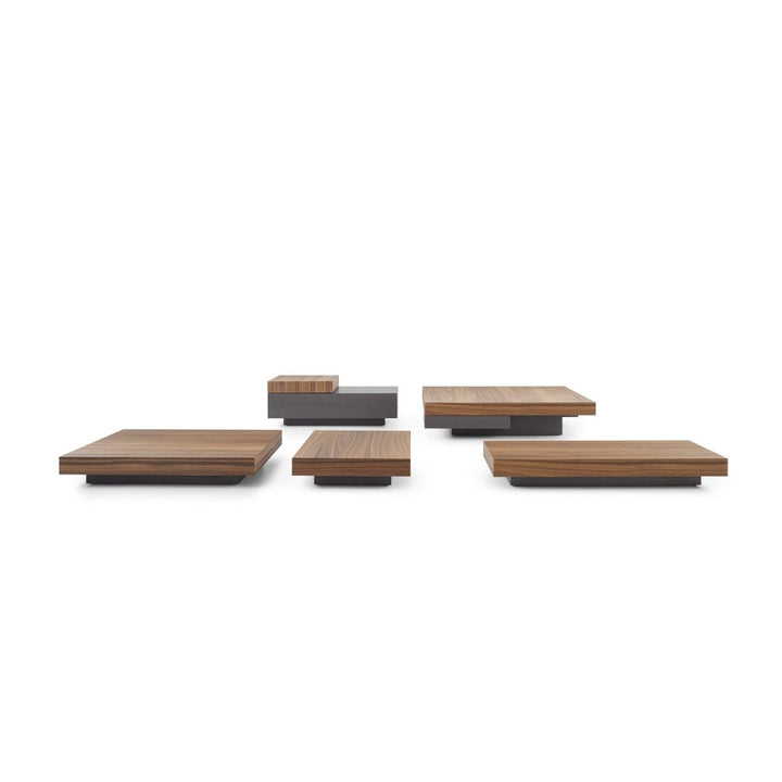 Marteen Coffee Table Collection by Molteni & C