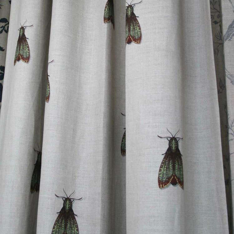 Petit Papillon De Nuit Fabric by Timorous Beasties