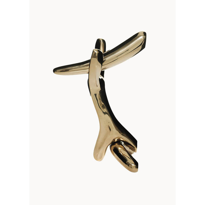 Rinocerontico Door Knob by Barcelona Design