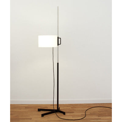 TMC Floor Lamp by Santa & Cole - Additional Image - 5