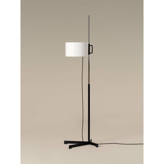 TMC Floor Lamp by Santa & Cole